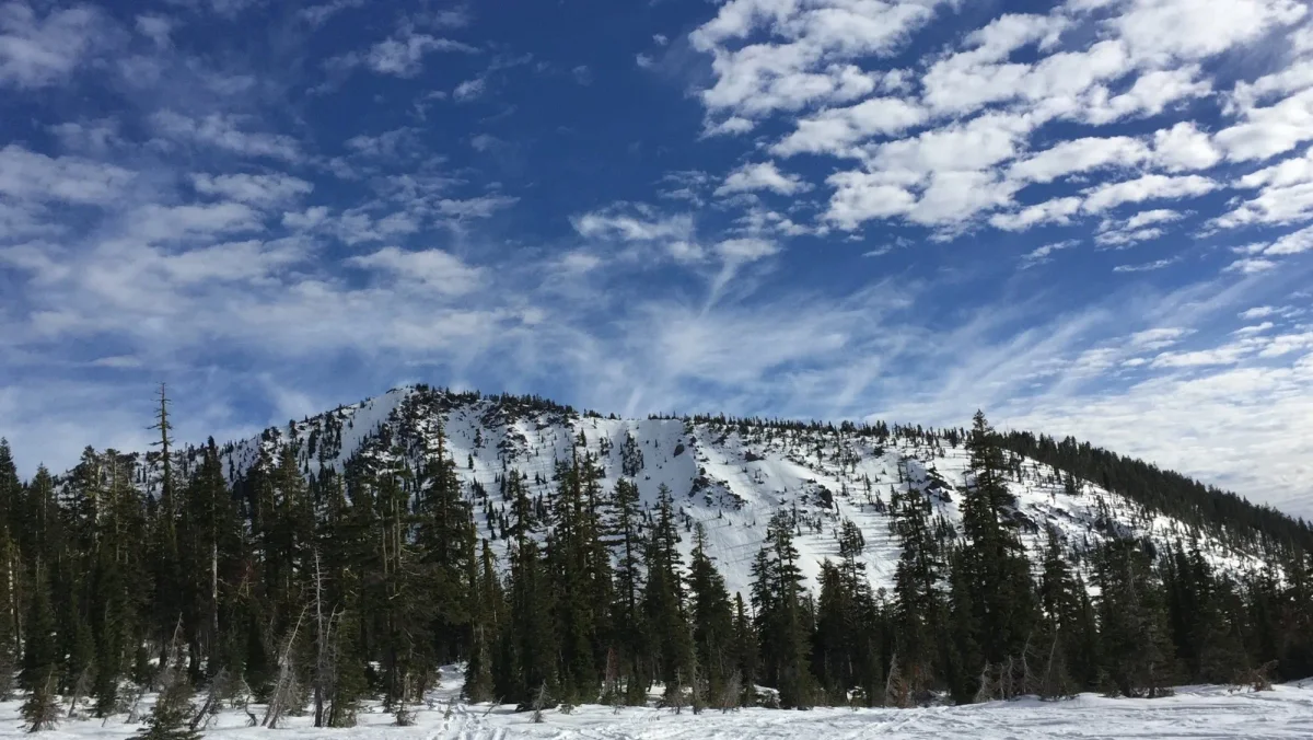 Image from The Venus Retreat: Mount Shasta with Paul of Venus